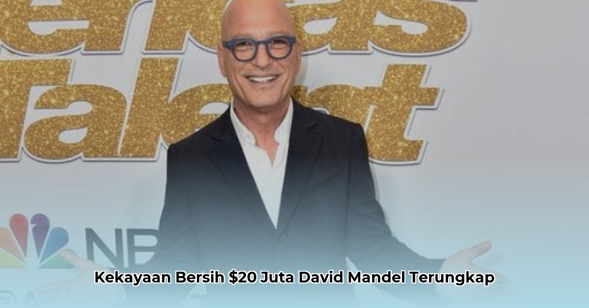 david mandel net worth